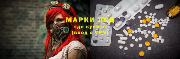 прущие грибы Балабаново