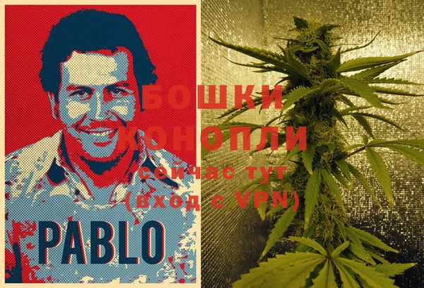 прущие грибы Балабаново