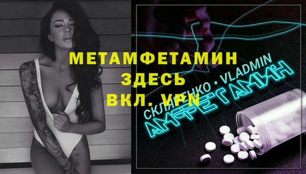 прущие грибы Балабаново